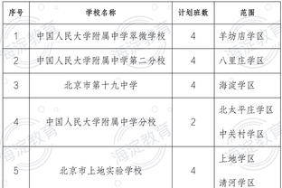 格拉维纳：有必要改革意甲体制&不只基于球队数目 足球需自我监管